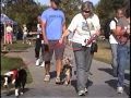 title="WoofStock