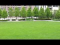 videos de Oliver Playing Fetch at The Park