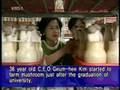 KBS NEWS-9 King oyster mushroom