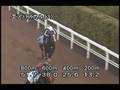 videos de [調教] 081008 エアパスカル 「秋華賞」一週前追い切り