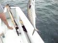 Pesca Sub Sul Tamboretes SC