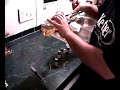 Juicy ideas video