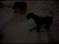 Bablo and Taisto. :P Bablo and Taisto. :P