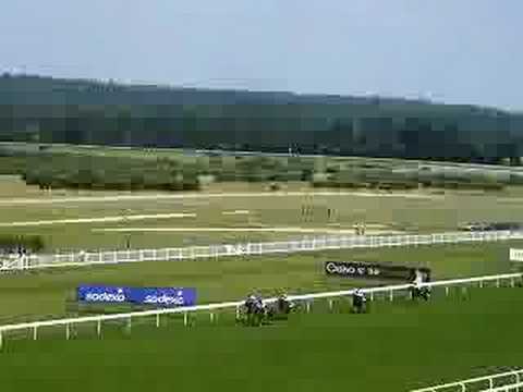 Ascot Horse Racing