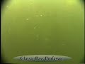 My Favorite Backwater Bass Fishing Haunts