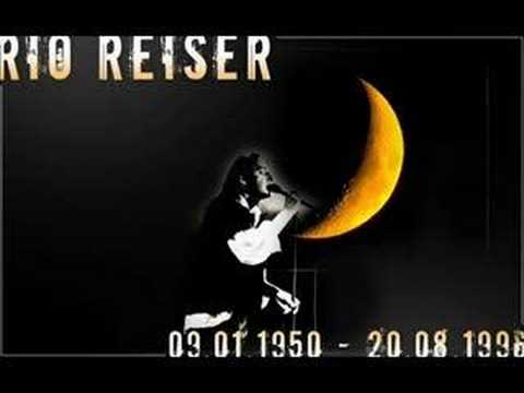 dich