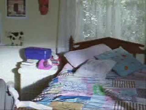 Alexis Bledel video