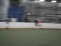 shnouba indoor soccer