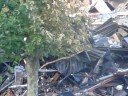 De Dag Na De Brand Bij De C1000 Spijkenisse Waterland deel9