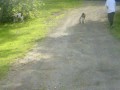 videos de omgg sam its gunna bite u