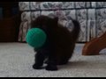 Please click on me to play my video!