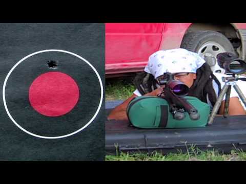 how to adjust bsa sweet 17 scope