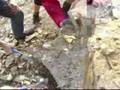 Geologen bei der Arbeit