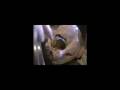 videos de Turkey Feast @ the Corell's