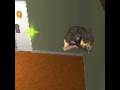 videos de Yoga On The Wall