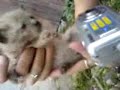 Benjamin Parte 1 (rescate)