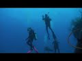 Dive Anchor Reef Cayman Brac Dive Anchor Reef Cayman Brac
