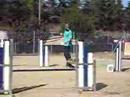 Campeonato Agility - CANIC - Tona Campeonato Agility - CANIC - Tona