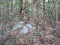 HW on the Thorsborne trail 4