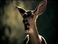 screaming animals commercial