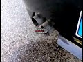 BMW Z4 - Accelerata da fermo (Fabixtreme)