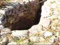 Guarda video