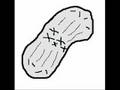 Mitosis: Cell Division