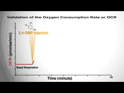 Energy Validation – Pathways Specificity