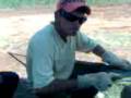 videos de Piada do Besouro