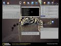 KWin compositing config & intro