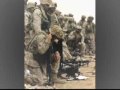 final-marine-tribute.html