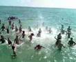 Kazantip 2006