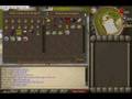 runscapeparty.wmv