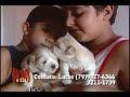 Bichos e Cia 2ª parte 24/08/2007 Lhasa Apso Bichos e Cia 2ª parte 24/08/2007 Lhasa Apso