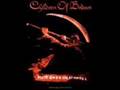 Chidren Of Bodom Oops i did it again(cover)