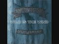 Wild Is The Wind