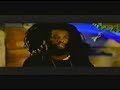 shottas 1