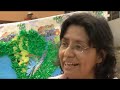 A Look at Vaccination Week in the Americas 2008