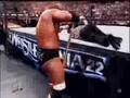 A Tribute To The Cerebral Assassin - Triple H