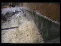 Plastics Shredding: Recycling (U)