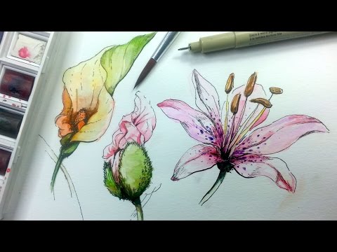 how to draw a paint