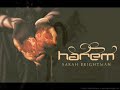 Sarah Brightman Free (remix)