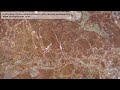 fertilization is the union of these cells secially endowed .mov