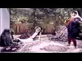 Se Mullah Free Iran /Parviz Khatibi 1985 Iranian political satire, sketch comedy program