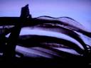 SandArt_DVFilm_??????_08.11.08.wmv