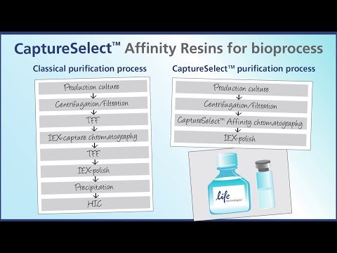 how to dissolve yeast rna