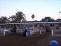 www.mcdanielshorses.com Super Solid Head Horse