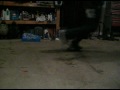 Garage Sesh 1
