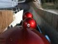videos de Scendi a 100 all'ora con il taxi-bob