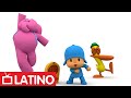 POCOY� (Latam) - El baile